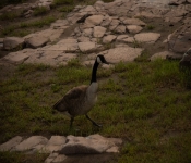 2022 05 28 SD 048